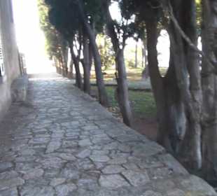 Garten "Turm der Araber"