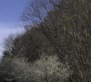 Wanderweg Hochgehkämpft