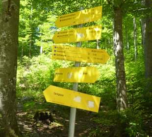 Wandern Schliersee