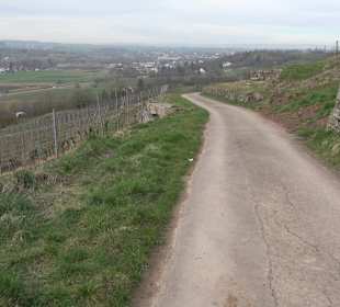 Unterjesinger Wengertwegle