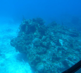 "Unerhört spannend"