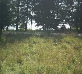 Tatrzański Park Narodowy