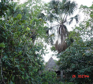 Unterwegs in Venezuela