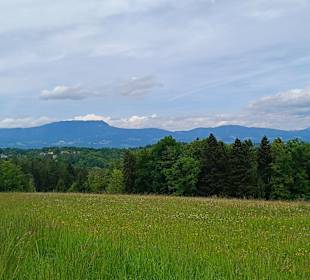 Schöne Aussicht