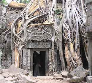 Ta Prohm