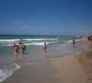 Strand Lido Pineta in Lido Marini