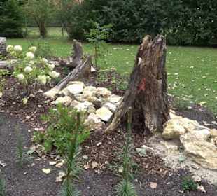 Blühendes Neresheim