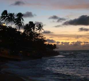 Praia do Forte -BA- Brasilien