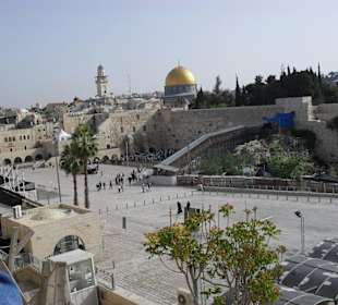 Экскурсия. Город.