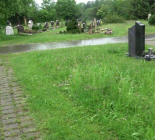 Neuer Friedhof am Schorren