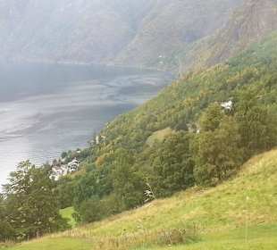 Blick aus dem Bus auf den Fjord