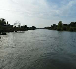 Flusslandschaft der Oder bei Breslau