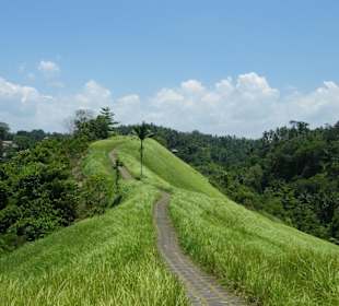 Wandern von Ubud zum Gunung Kawi Tempel