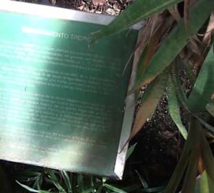 Real Jardín Botánico de Madrid