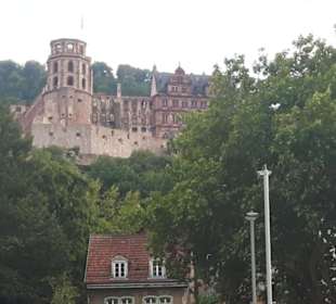 Weisse Flotte Heidelberg 