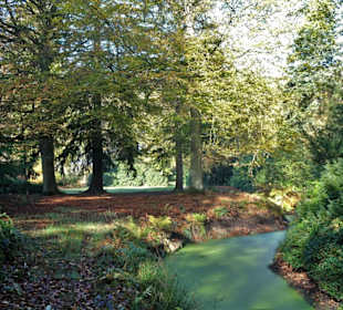Herbstspaziergang durch den Schlosspark Lütetsburg