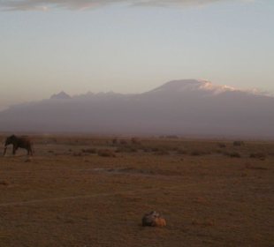 Amboseli Nationalpark