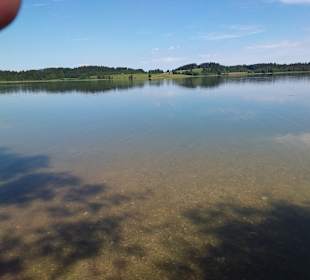 Bannwaldsee