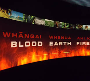 Te Papa Museum Wellington