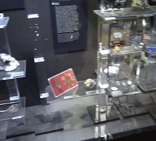 Staatliches Naturkunde Museum