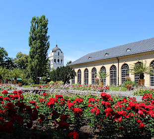 Pałac i ogród w Wilanowie