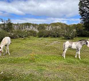 Tierra del Fuego