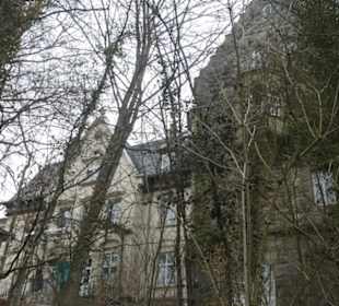 Eindrücke von unserer Wanderung Schalksbergweg