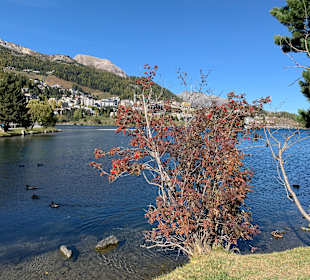 St. Moritzsee