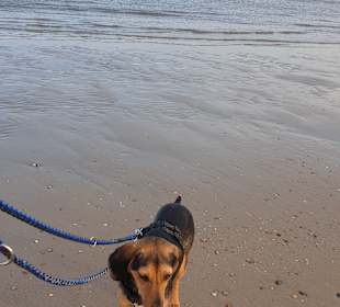 Strand Egmond aan Zee