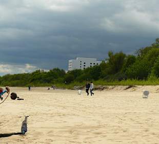 Hotel Novotel Marina