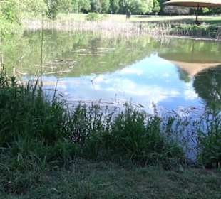 Kurpark Bad Niedernau