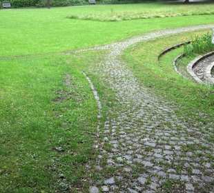 Baumlehrpfad Glacis Park