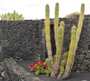 Museum Fundación César Manrique