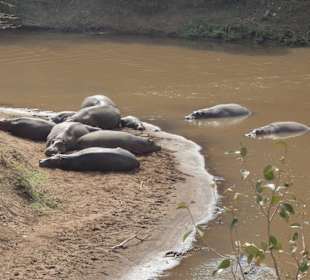 Blick aus unserem Camp Zelt