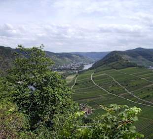 Schön