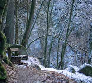 Naturschutzgebiet Feldkirchen-Pesenbachtal