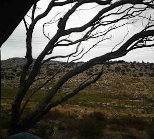 Kap der Guten Hoffnung