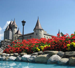 Le Château d'Aigle