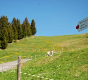 Wanderweg Richtung Mittagspitze