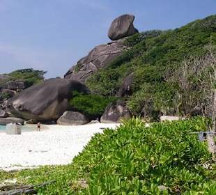 Little Jack - Similian Islands