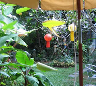 Der schöne Garten vom Tea House Siam Celadon.