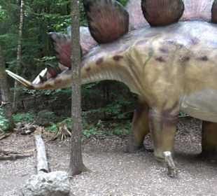 Dinosaurier Museum Altmühltal