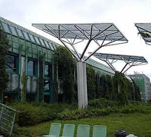 Ogród na dachu Biblioteki Uniwersyteckiej