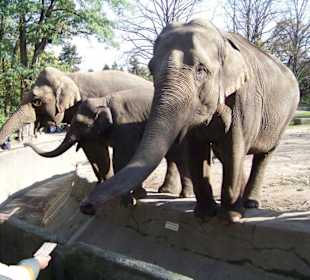 Tropenaquarium Hagenbeck