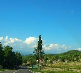 Rafting Selge National Park & Landschaft/An- & Abfahrt