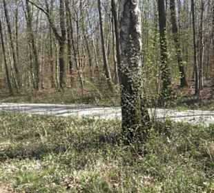 Sport- und Freizeitpark Markwasen