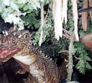 Ansichten aus dem Europapark in Rust