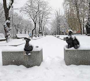 Stadtrundgang Kolobrzeg/Kolberg