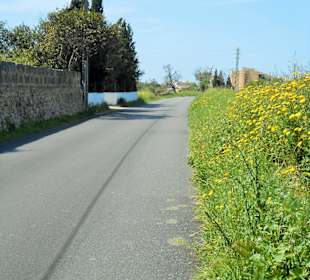 Nebenstraße zum Wanderweg