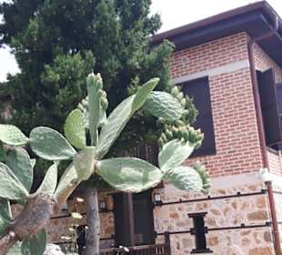 Burg von Alanya (Ic Kale)